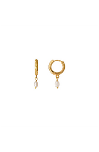 Clam Pearl Earring - Gold