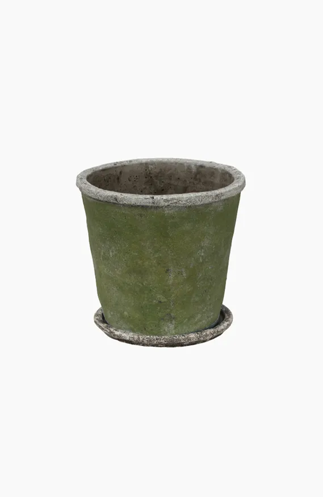 Evergreen Plant Pot - Medium