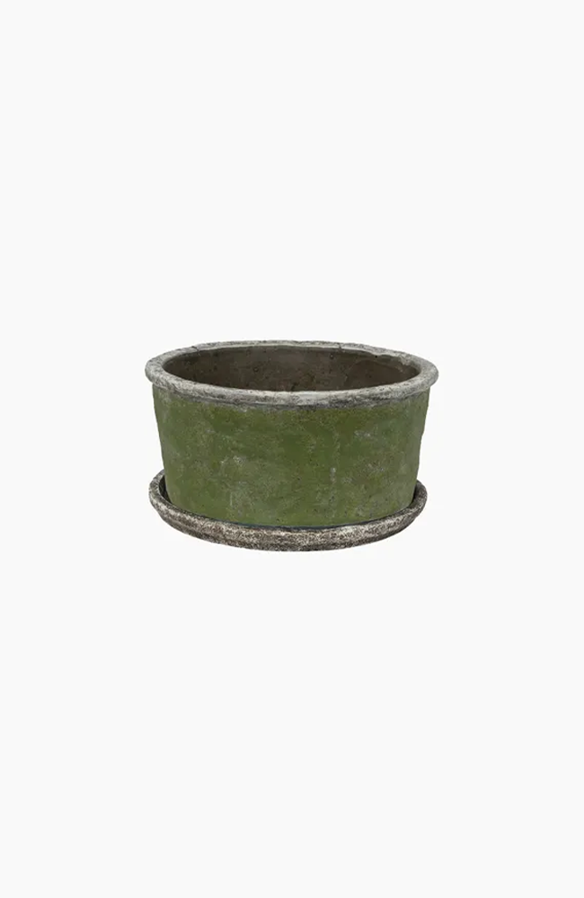 Evergreen Plant Pot - Small