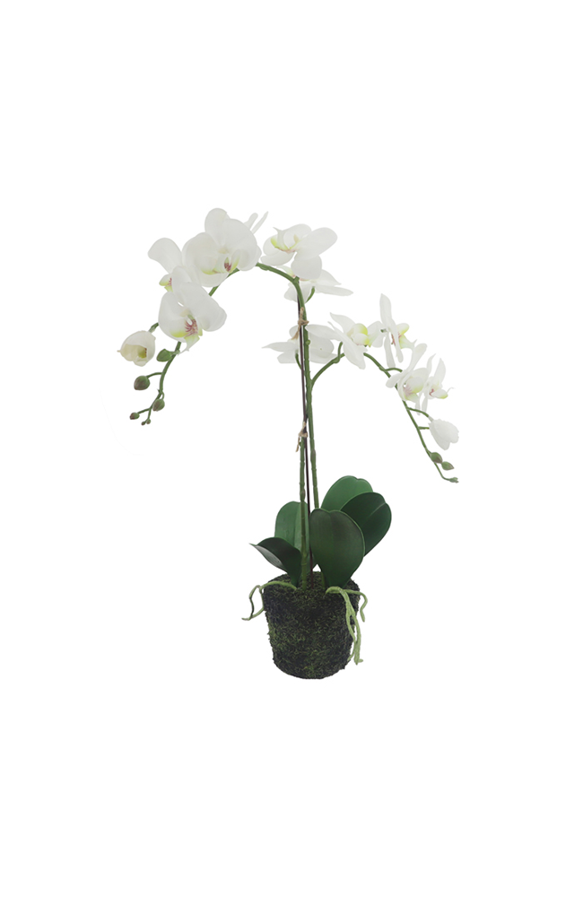 Neranda Poly Premade White Orchid Small