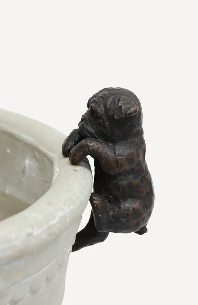 Hanging French Bull Dog