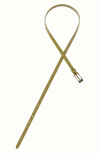 Patent Belt - Guacemole