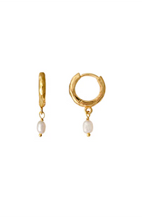 Clam Earrings - Gold