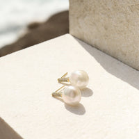Seasalt Earrings - Gold