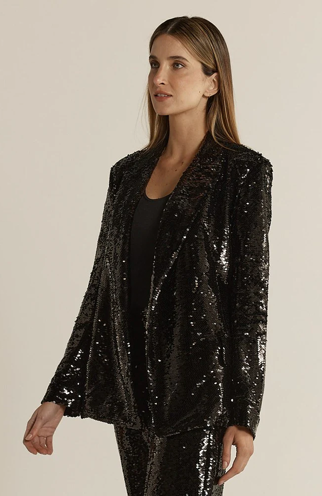 Rayne Sequin Blazer - Black
