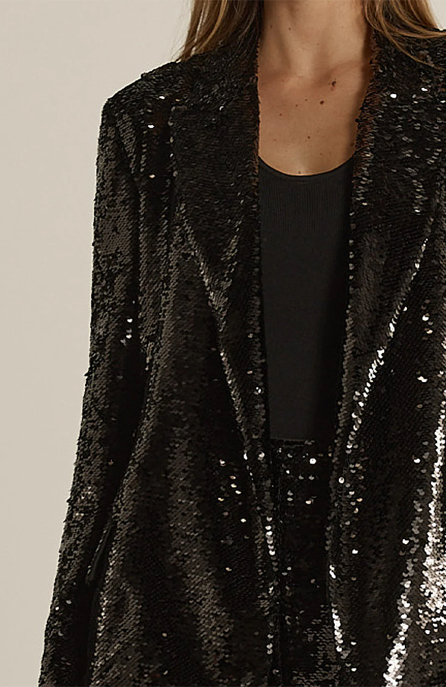 Rayne Sequin Blazer - Black