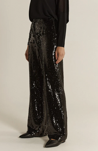 Rayne Sequin Pants - Black