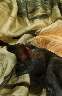 Silk Scarf - Randy