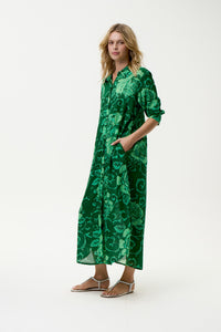 Daisy-Emerald Coast Green