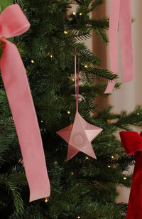 Passion Berry & Pavlova Shower Steamer 60g