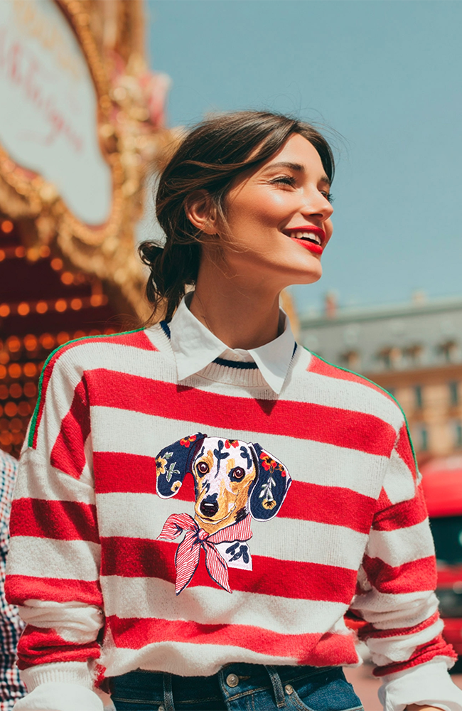 Dog Sweater - Navy & Red Stripes