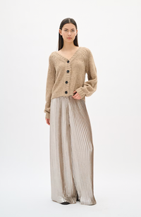 Future Pant - Silver