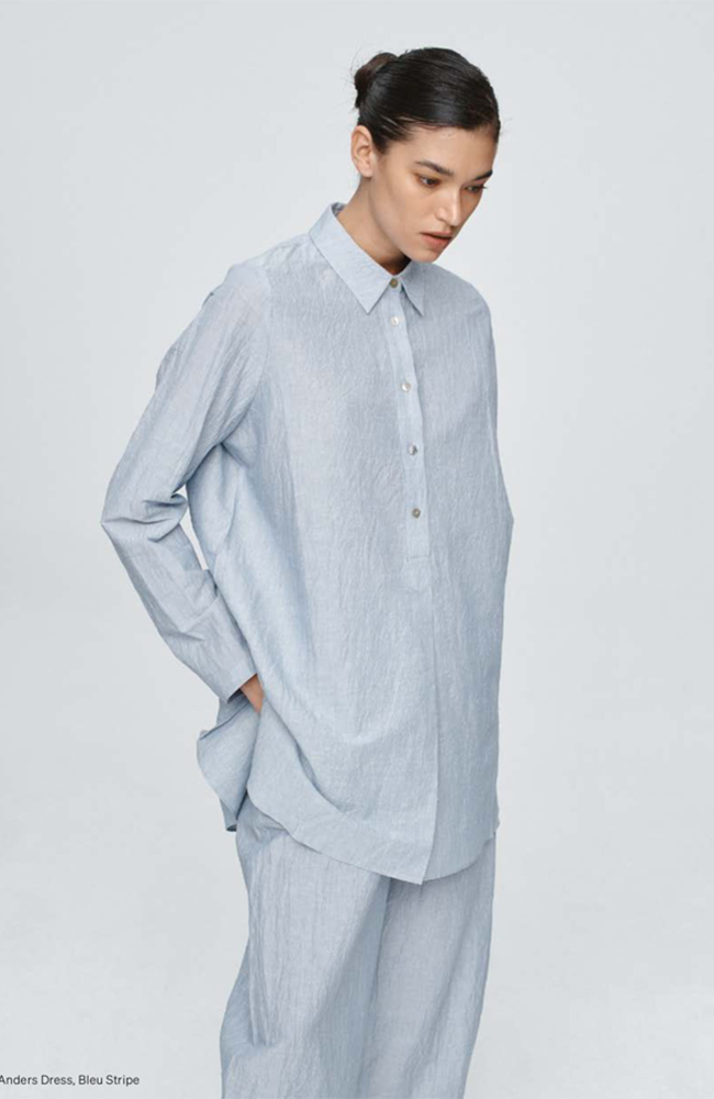Anders Dress - Bleu Stripe