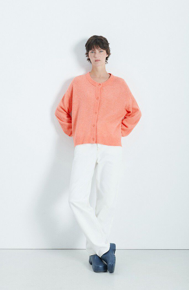 Damsville Cardigan - Guava Melange
