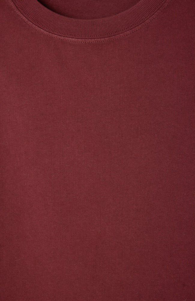 Fizvalley T-shirt - Vintage Burgundy
