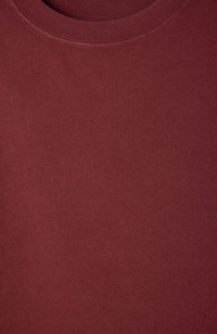 Fizvalley T-shirt - Vintage Burgundy