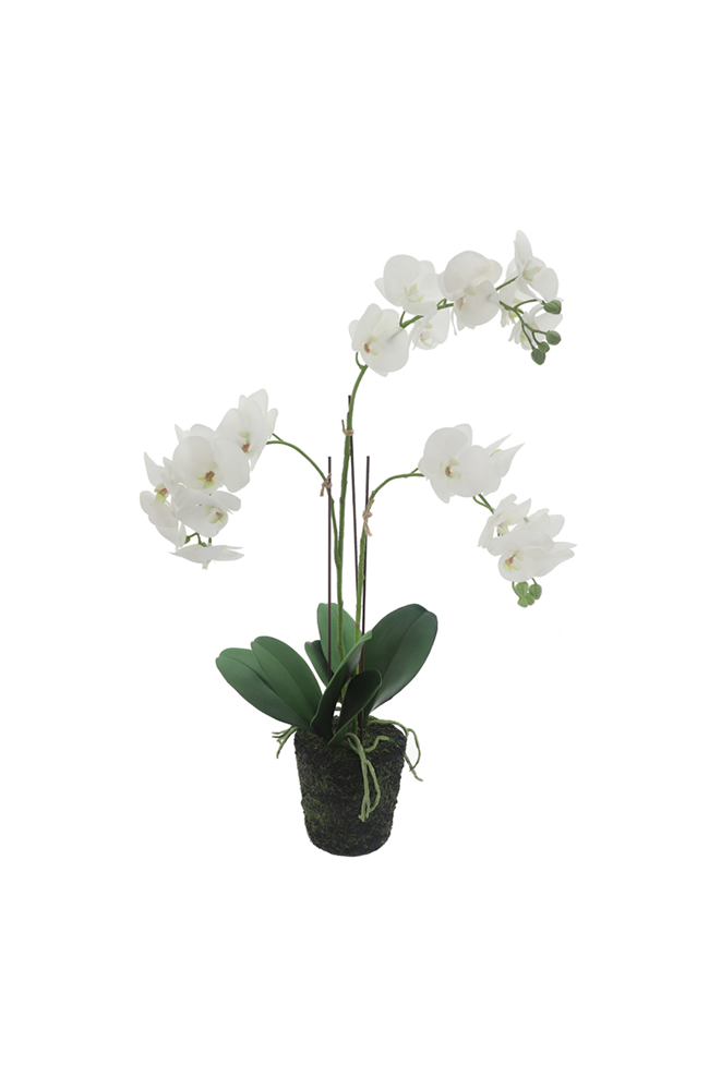Neranda Poly Premade White Orchid Medium