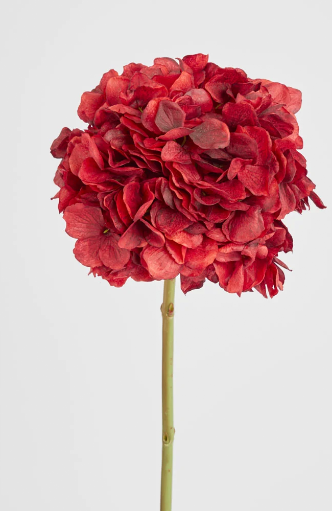 Hydrangea Ball Head Stem 48cm - Red