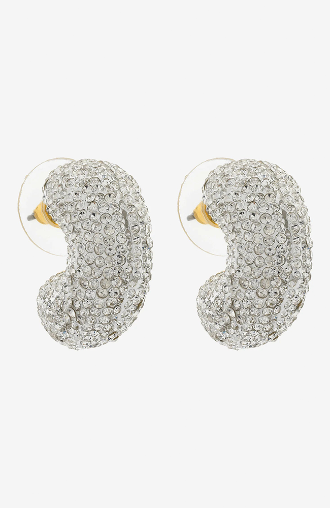 Bardy Gold Earring