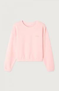 Izubird Sweatshirt - Vintage Confectionery
