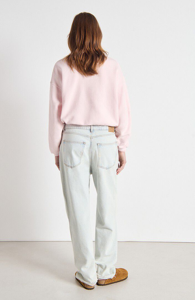 Izubird Sweatshirt - Vintage Confectionery
