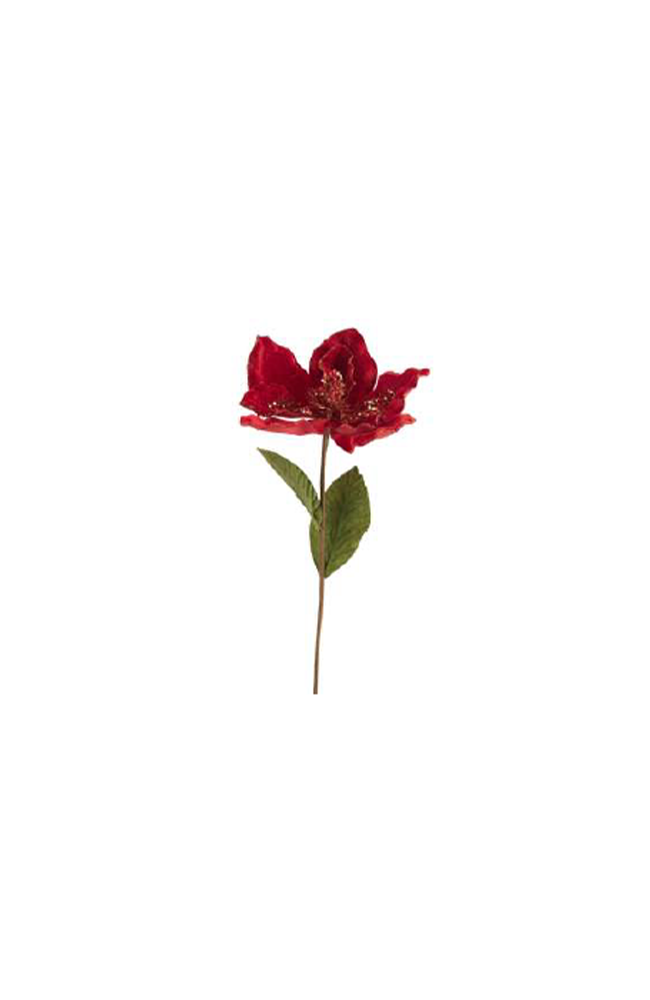 Magnolia Stem Red Velvet