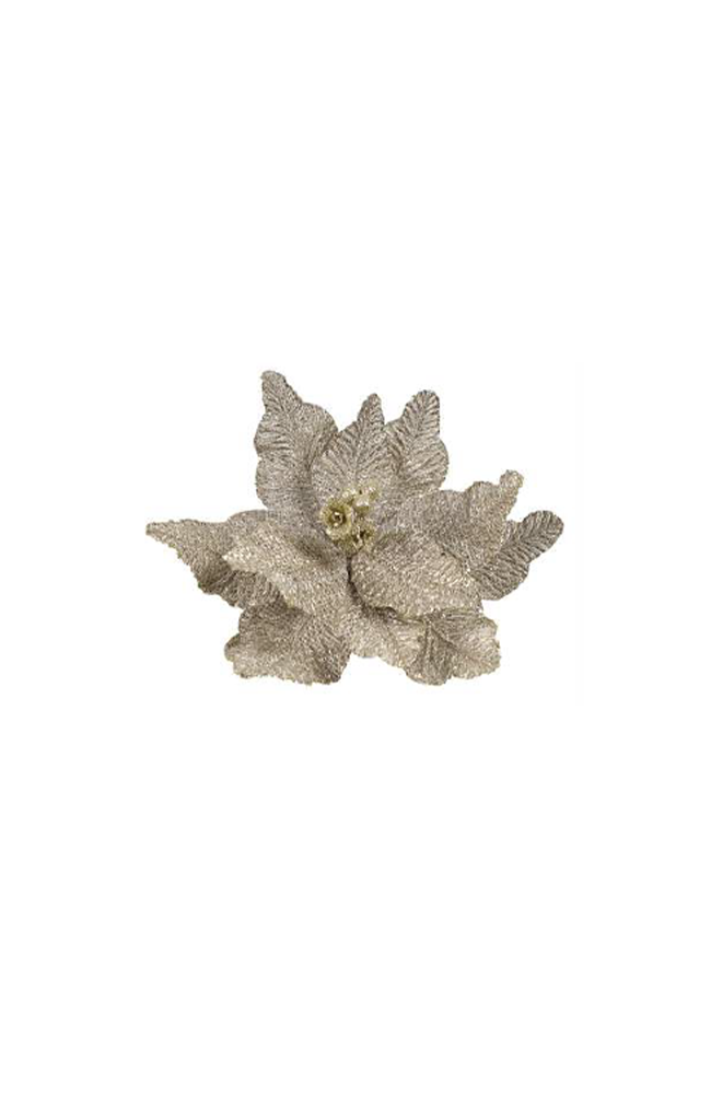 Poinsettia Matt Sage