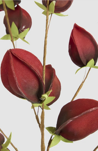 Flower Stem - Dark Red