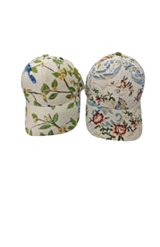 The Cap - Birds