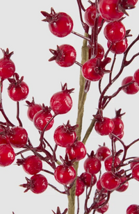 Gloss Berry Stem - Red
