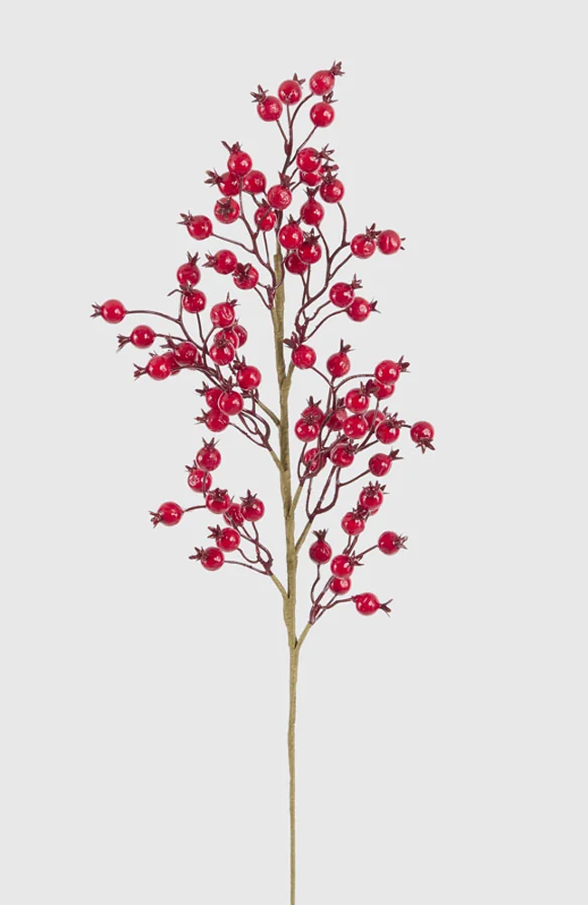 Gloss Berry Stem - Red