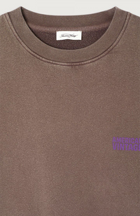 Plizzy Sweatshirt - Vintage Chestnut