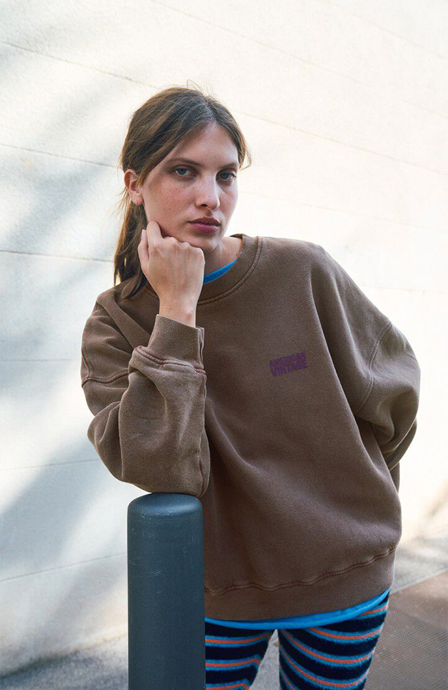 Plizzy Sweatshirt - Vintage Chestnut