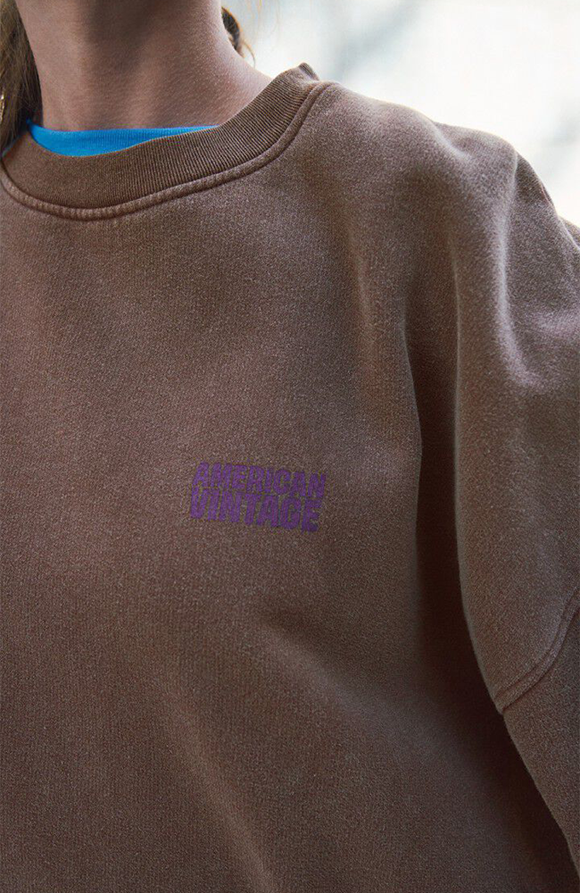 Plizzy Sweatshirt - Vintage Chestnut