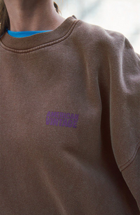 Plizzy Sweatshirt - Vintage Chestnut