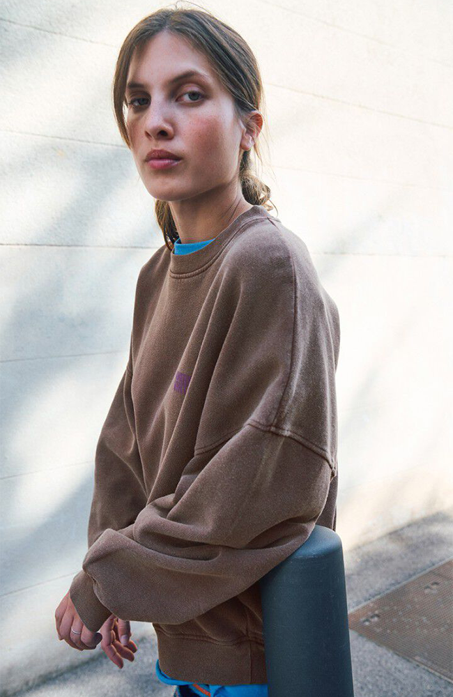 Plizzy Sweatshirt - Vintage Chestnut