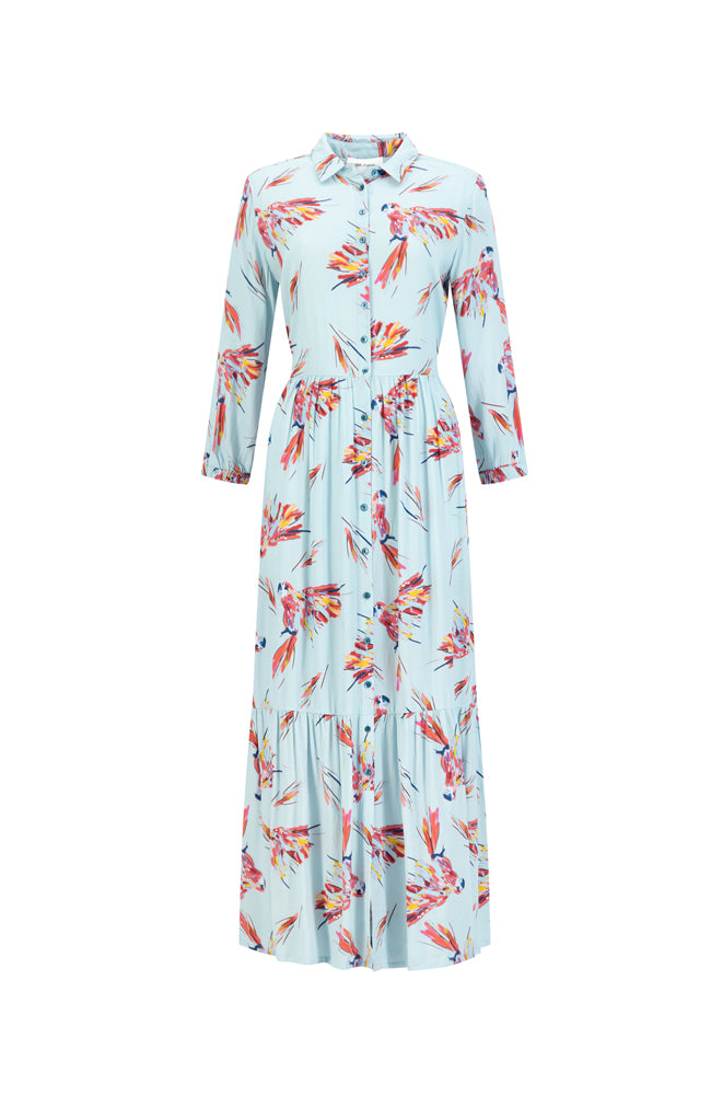 Parrots Dress - Blue