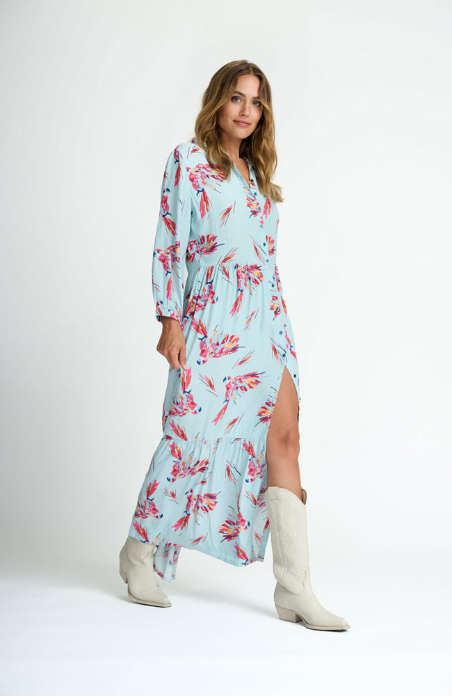 Parrots Dress - Blue