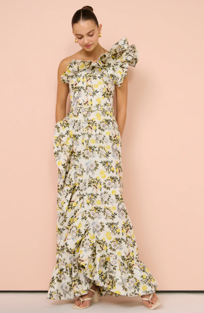 Giselle Dress - Clementine Print