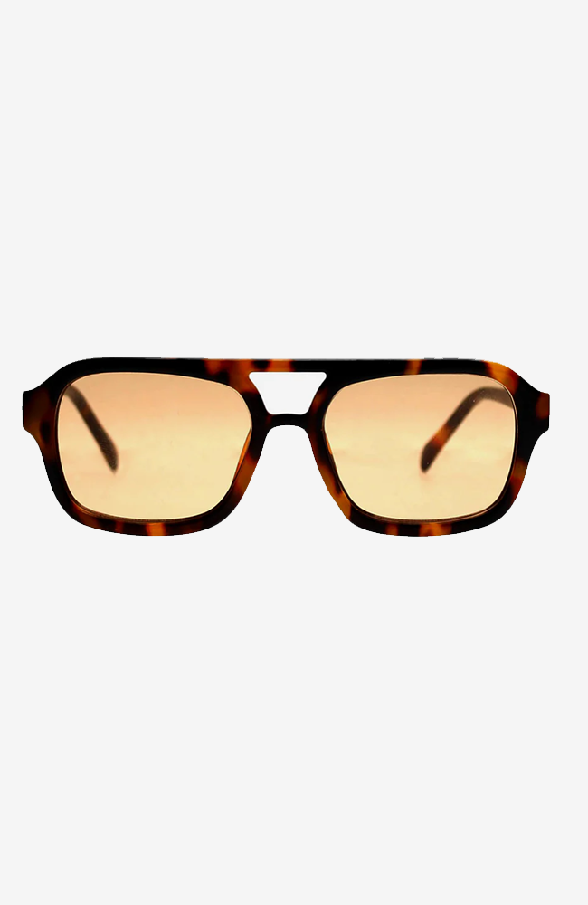 Runway Sunglasses - Bark Turtle