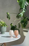 Stemm Wine Glass - Rabat - Latte/Donkey