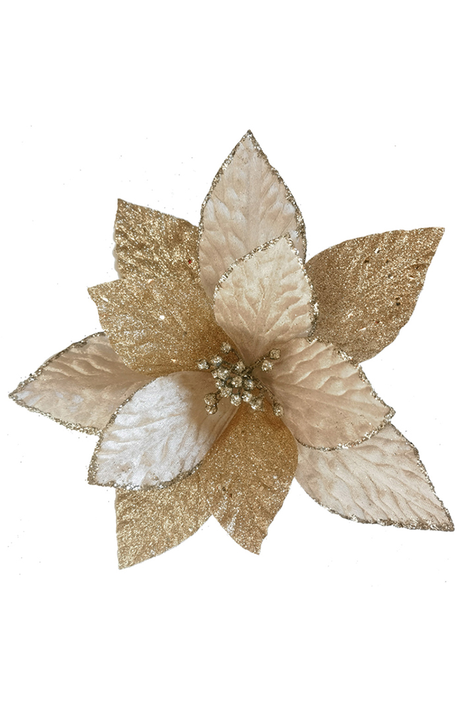 Fabric Ponsttia Chmp Coral