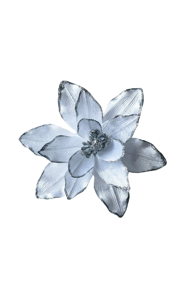 Poinsettia White Silver Edge