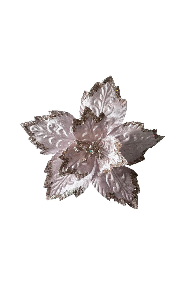 Poinsettia Pink Jagged Edge