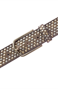 Zoe Gold Belt - Taupe