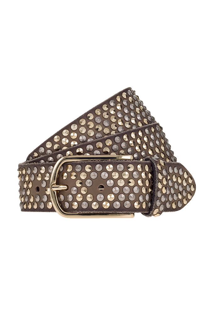 Zoe Gold Belt - Taupe