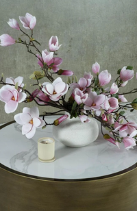 Magnolia With Full Blooms - Pink