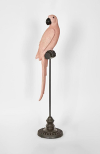 Amabela Parrot Medium - Pink