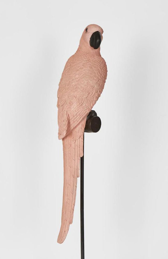 Amabela Parrot Medium - Pink