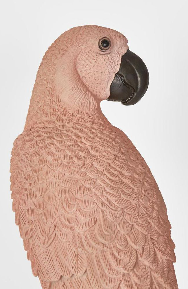 Amabela Parrot Medium - Pink